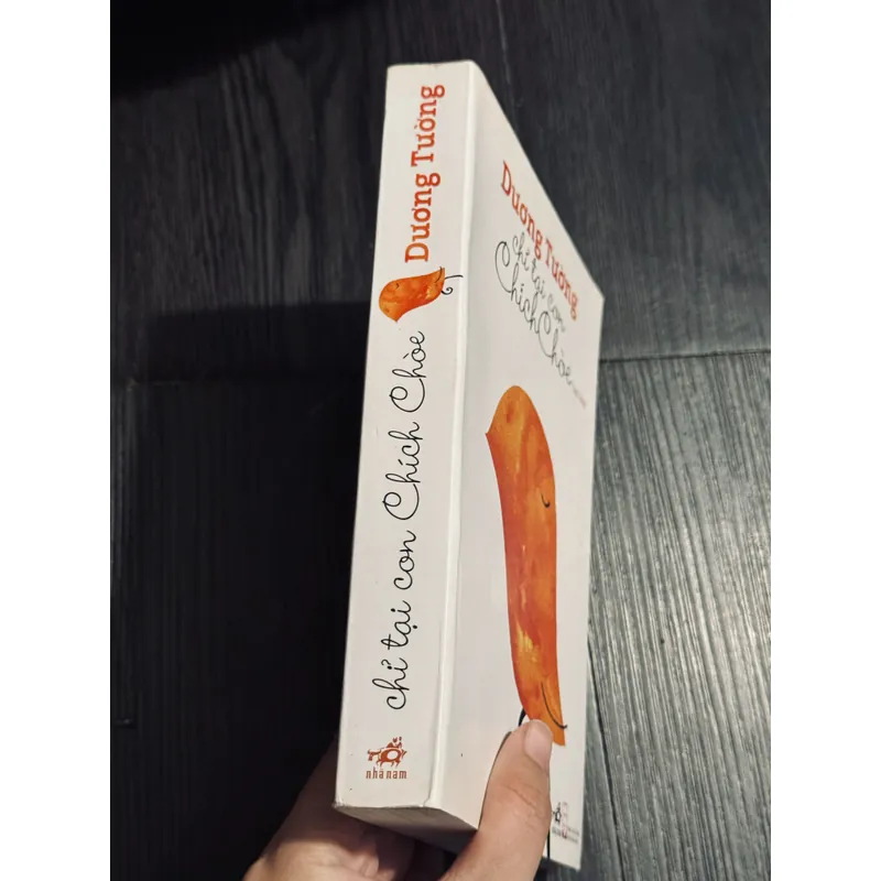 Chỉ tại con chim chích choè 589731