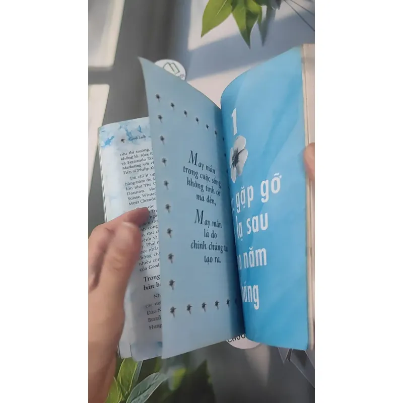 Bí Mật Của May Mắn - Alex Rovira & Fernando Trias de Bes 961231