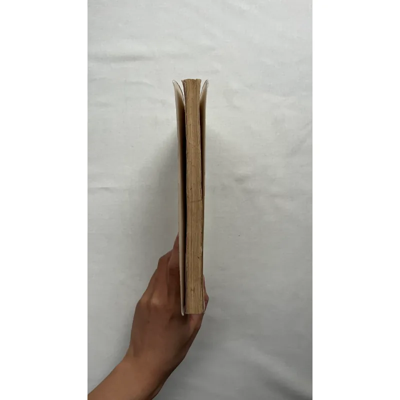 The Sorrow of War - Bảo Ninh  960713