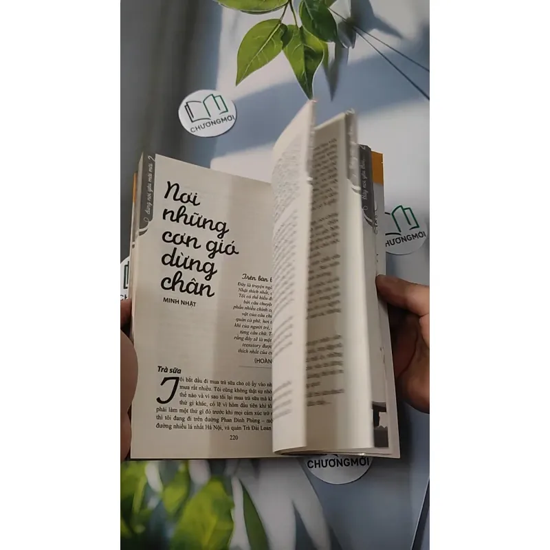 Hãy Nói Yêu Thôi, Đừng Nói Yêu Mãi Mãi 798287