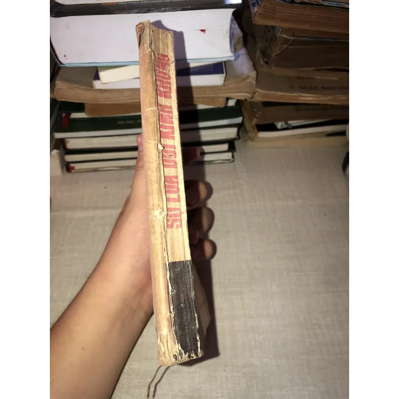 Ráp Mắc Ghi Sự Lừa Dối Kinh Khủng 971705