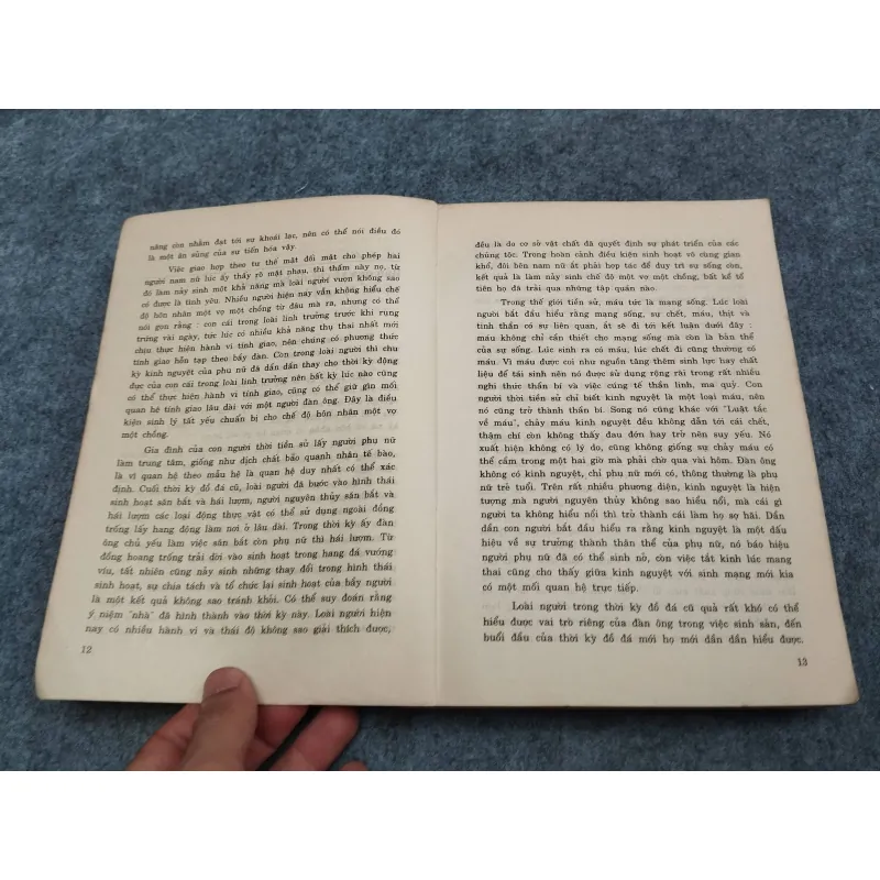 LẦU XANH VÀ TỘI ÁC - PHÙNG TINH CHÍ 936835