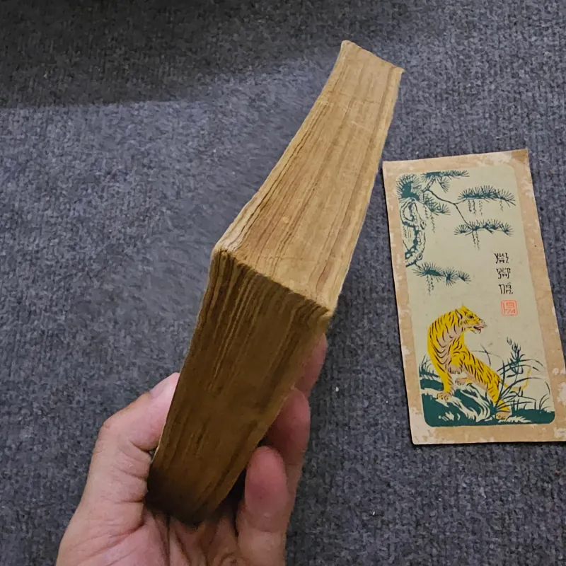 Trên bờ biển sáng - Henryk Sienkiewicz 748573