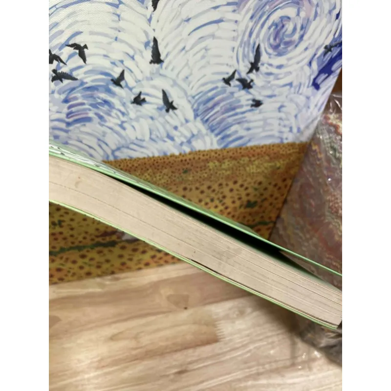 Nếu Biết Trăm Năm Là Hữu Hạn - Phạm Lữ Ân 1020309