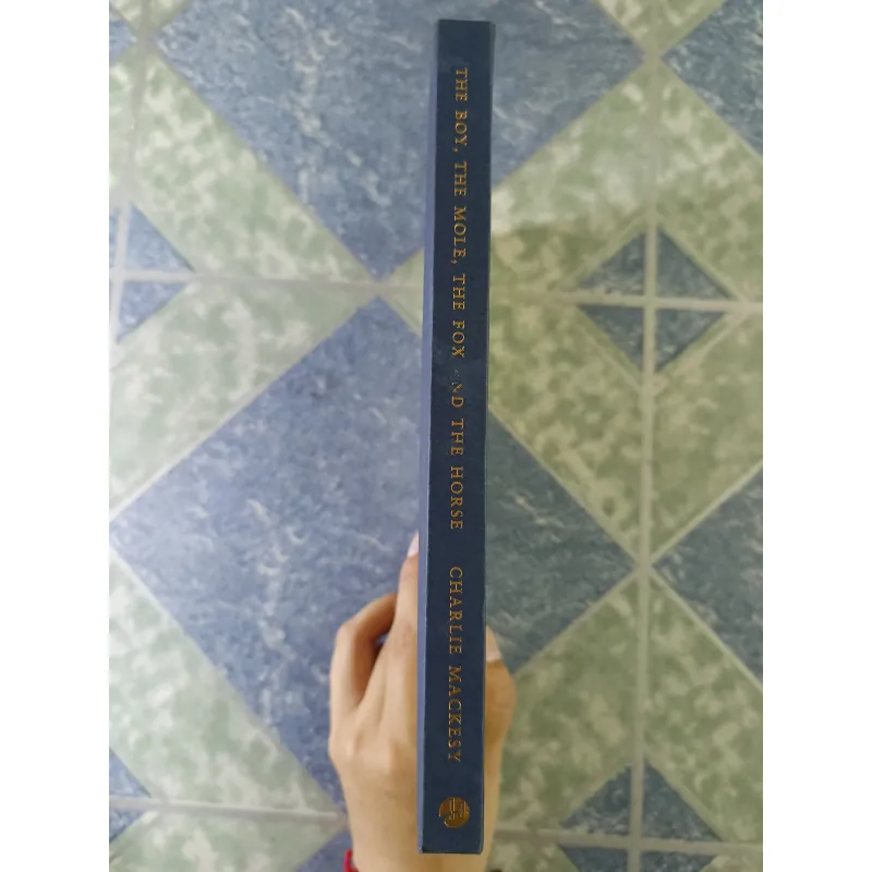 The boy, the mole, the fox Horse - Charlie mackesy 708899