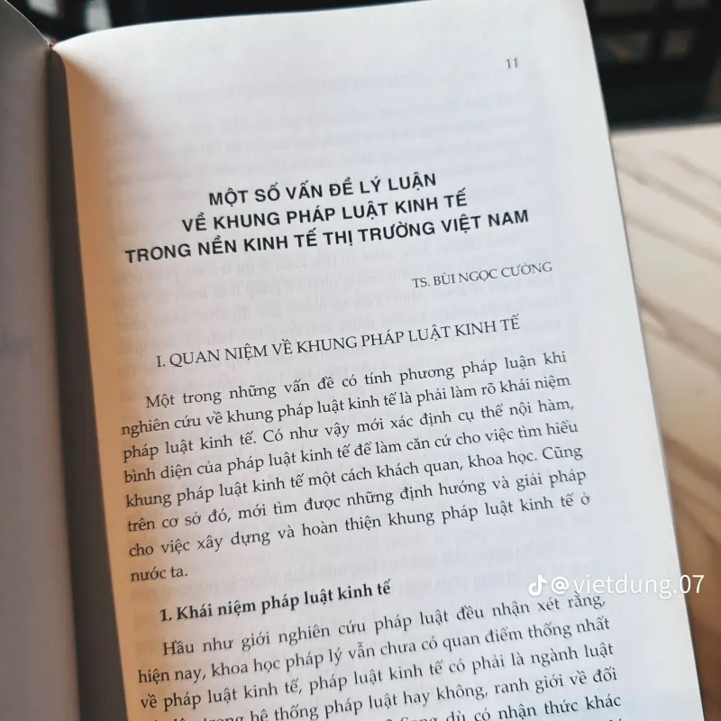 Pháp Luật Kinh Tế Việt Nam Trong Thời Kỳ Đổi Mới 933796