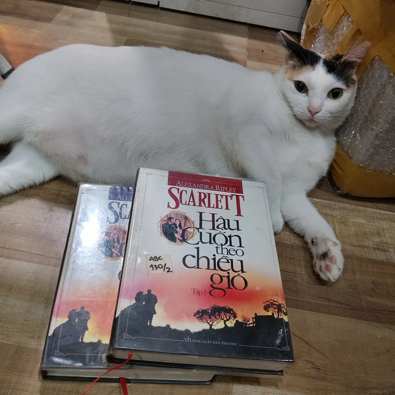 Hậu cuốn theo chiều gió - Alexandra Ripley (Bìa cứng) 397628