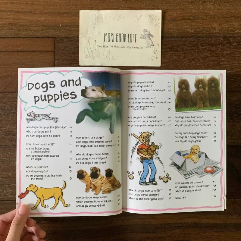 Sách ngoại văn My First Animal Questions and Answers, Used, Siêu Dày 578055