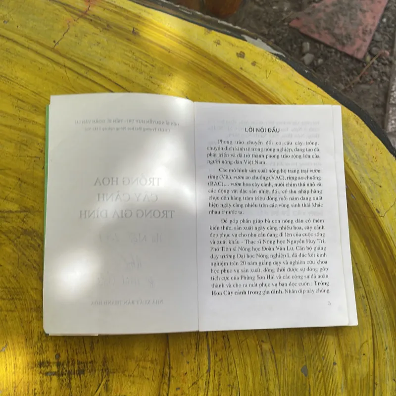 COMBO TRỒNG HOA CÂY CẢNH TRONG GIA ĐÌNH & KỸ THUẬT TRỒNG HOA LAN 929941