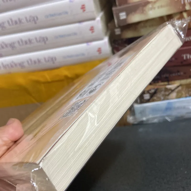 (Văn học kinh điển) - Lá Thư - Richard Paul Evans 976273