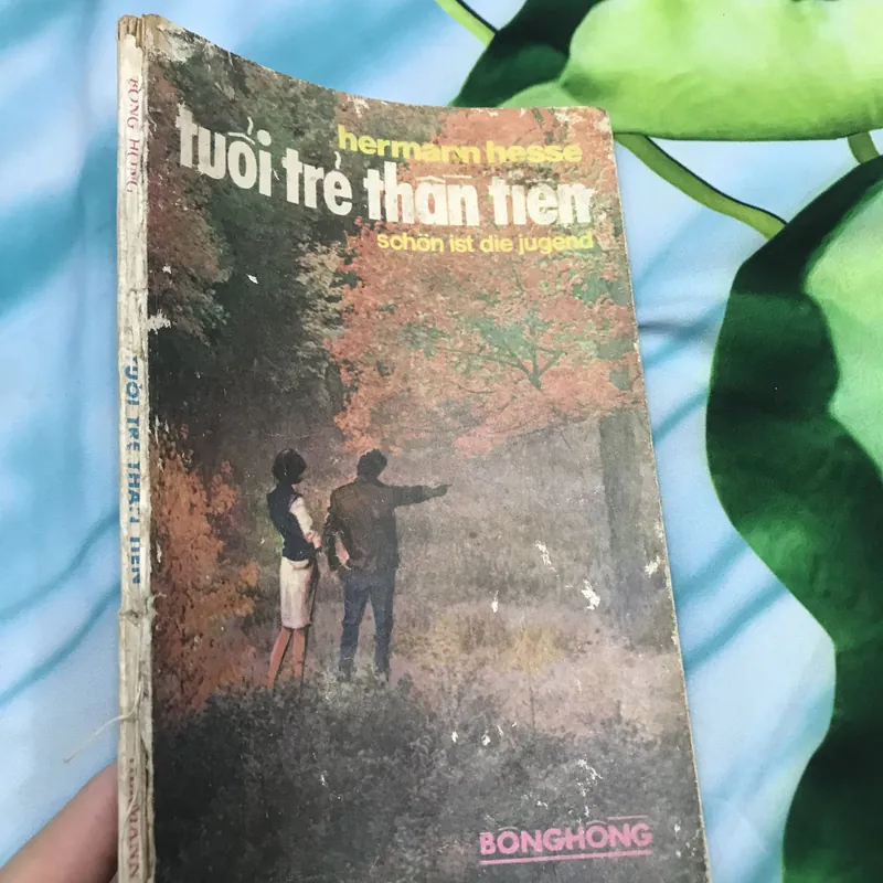 Tuổi trẻ thần tiên - Hermann Hesse 591300