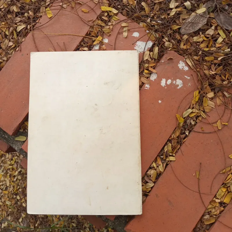 Cái chết đang đến gần 1011000