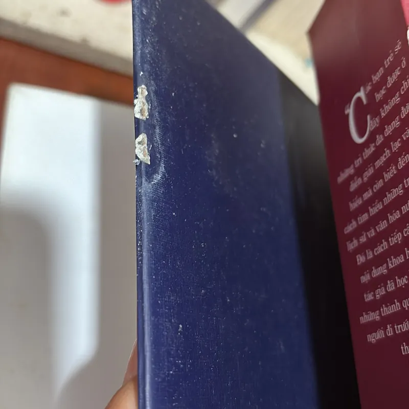 [Chữ Ký Tác Giả] - II Sách Hay: Văn Hoá Việt Nam Thường Thức - TS Nguyễn Tiến Dũng - 2005 727898