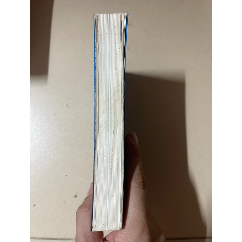 Thưởng ngoạn hội họa - David Piper ( Lê Thanh Lộc dịch) (c43) 507491