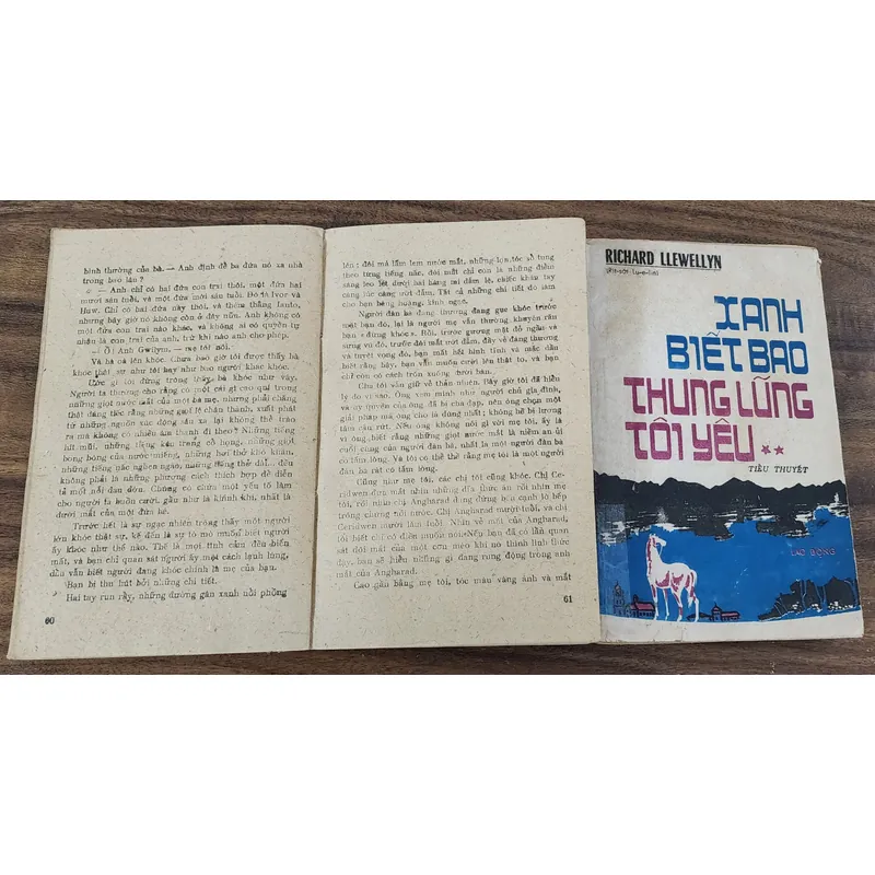 Trọn bộ 2 tập, tiểu thuyết Xanh biết bao thung lũng tôi yêu, tác giả Richard Llewellyn 703640