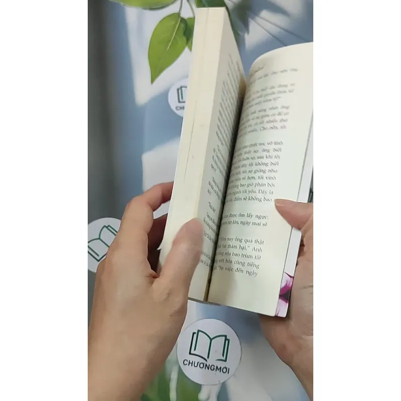 Gấm rách - Phỉ Ngã Tư Tồn 688659