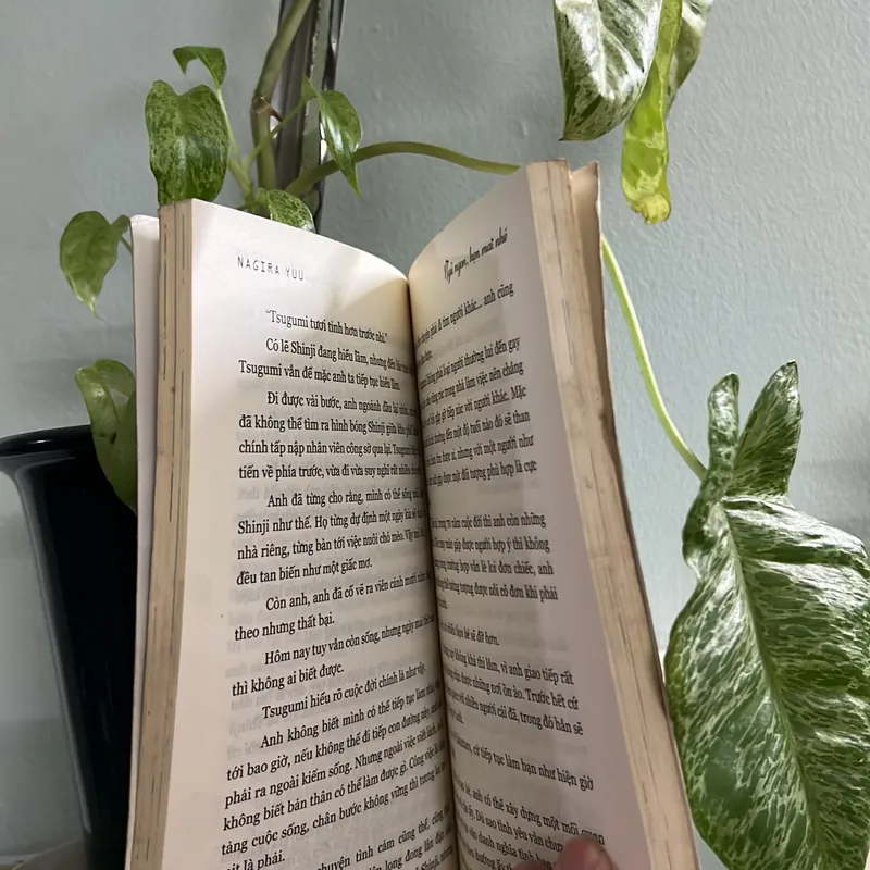 Ngủ ngon hẹn mai nhé - Nagira Yuu - [80-> 20] 736378