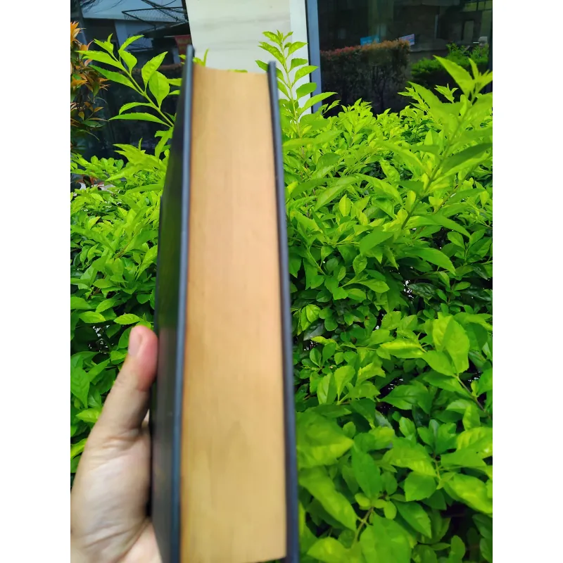 Sự phát triển của tư tưởng Việt Nam từ thế kỷ XIX đến cách mạng tháng Tám  960455