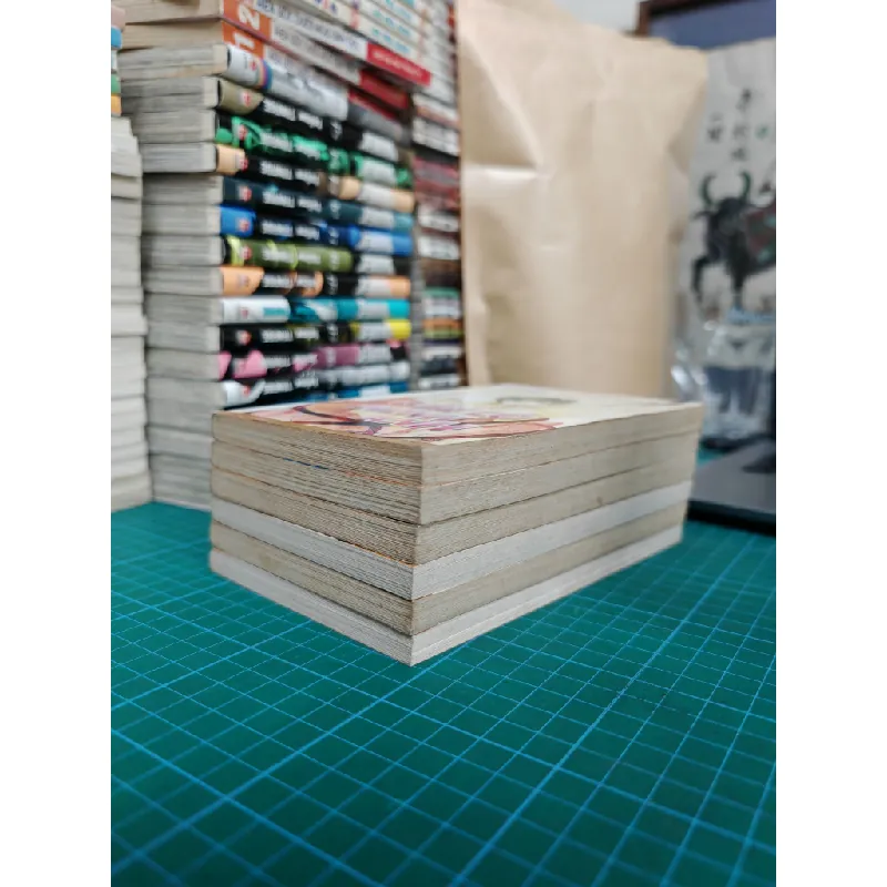 TRUYỆN TRANH CHỈ CÓ MÌNH ANH 324413