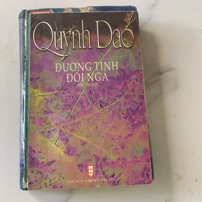 Đường tình đôi ngả, Quỳnh Dao 708434