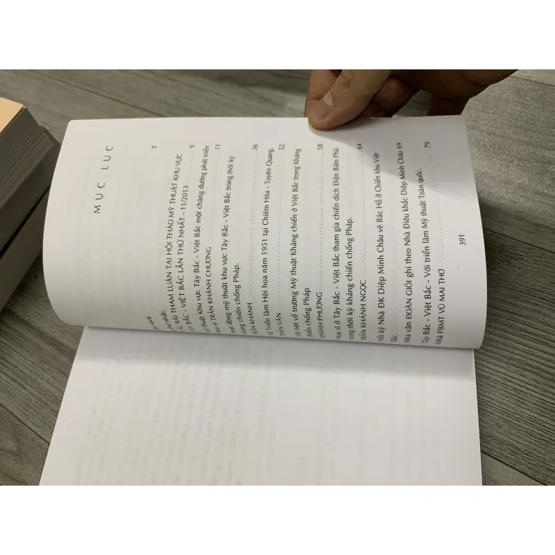 Mỹ thuật vùng miền việt nam. Combo 6 cuốn. 12a1 759912