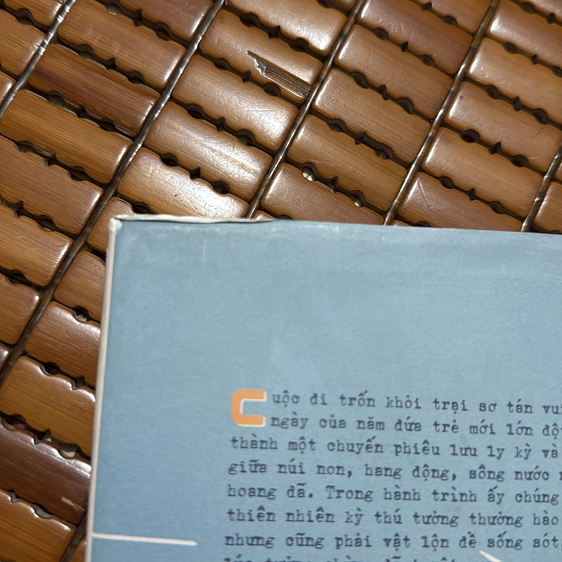 Đi trốn - Bình Ca 522260