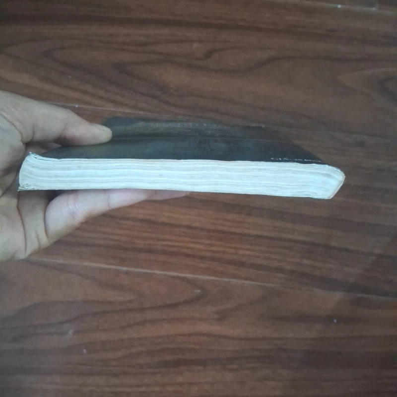 Cơn gió thoảng 507987