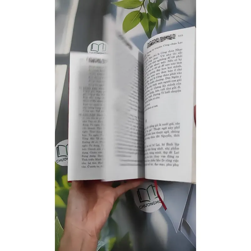 Chuyện Tình Vua Chúa Hoàng Tộc Việt Nam - Đinh Công Vĩ 990453