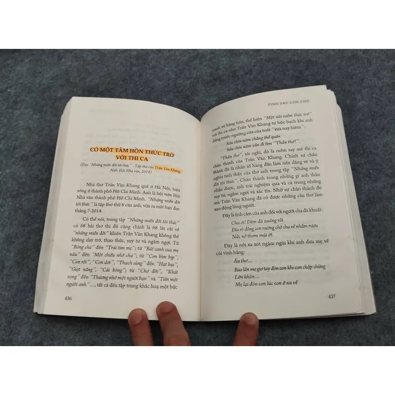 TÌNH SAU CON CHỮ. TIỂU LUẬN & BÚT KÝ 936841