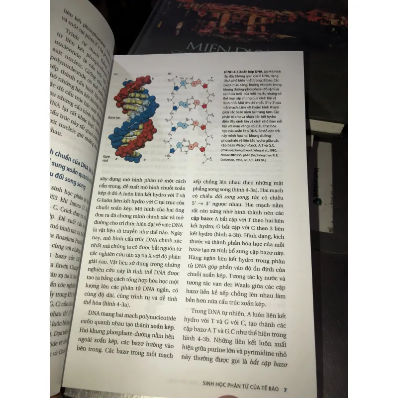 Sinh học phân tử của tế bào tập 2  1010154