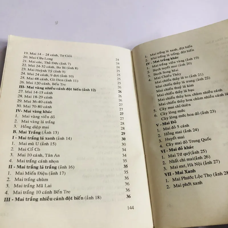 KỸ THUẬT TRỒNG VÀ GHÉP MAI 595067