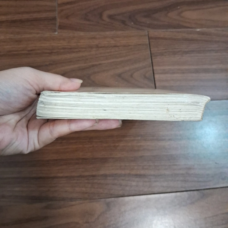Những chuyện tình thơ mộng 506774