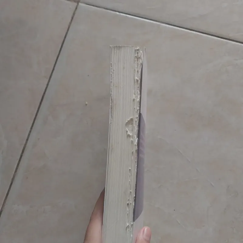 Sự ra đời trí khôn ở trẻ em 561373