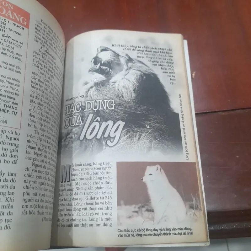 KIẾN THỨC NGÀY NAY số 309 ngày 10.03.1899 733973