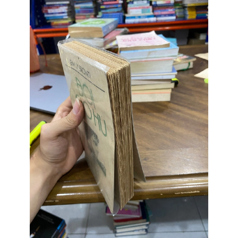 Đồi gió hú - Emily Bronti 502856