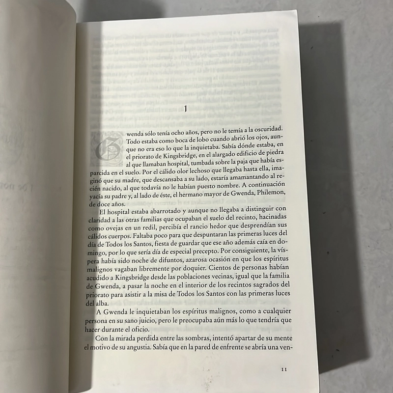 UN MUNDO SIN FIN - Ken Follett 509451