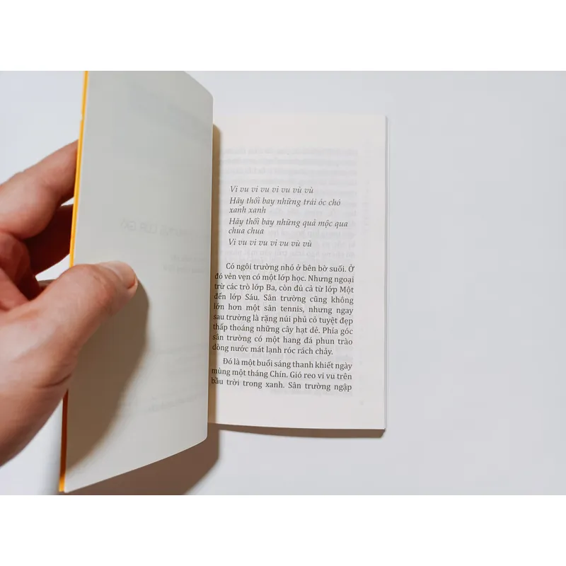 Matasaburo - Từ Phương Của Gió
 716583