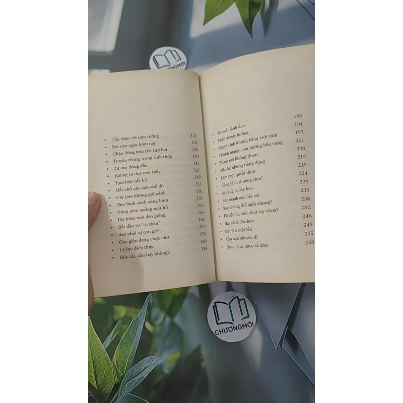 Làm Như Chơi - Minh Niệm 961252