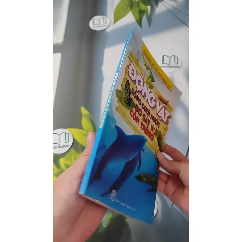 Động vật: Sống dưới nước, bò sát và côn trùng - An Khánh 1018832