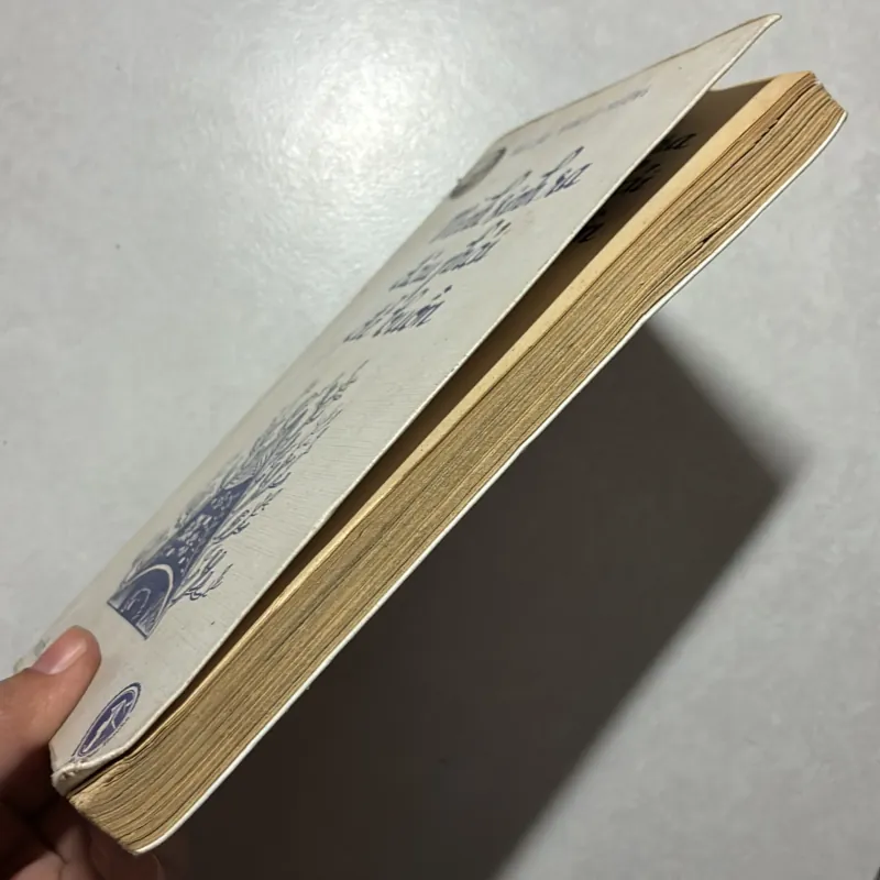 Mình sinh ra đâu phải để buồn - Iris Cao 760219