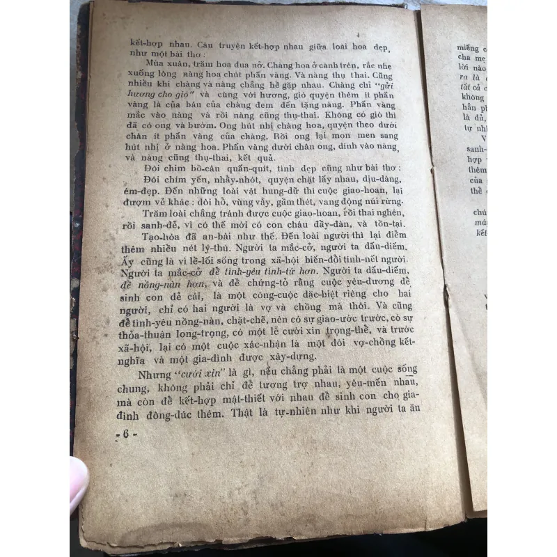 Mang nặng đẻ đau-BS Trần Ngọc Ninh, Ông Trần Việt Sơn 971198