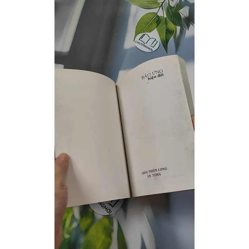 Báo Ứng Hiện Đời - Hạnh Đoan 776114