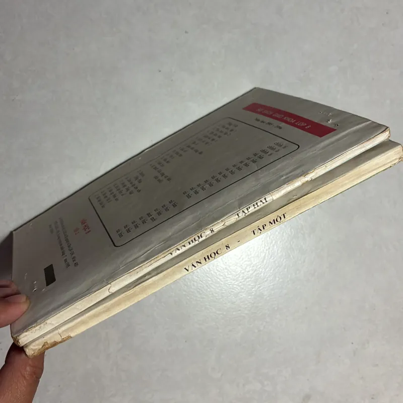 Văn học 8 (2 tập) - 1995s 784025