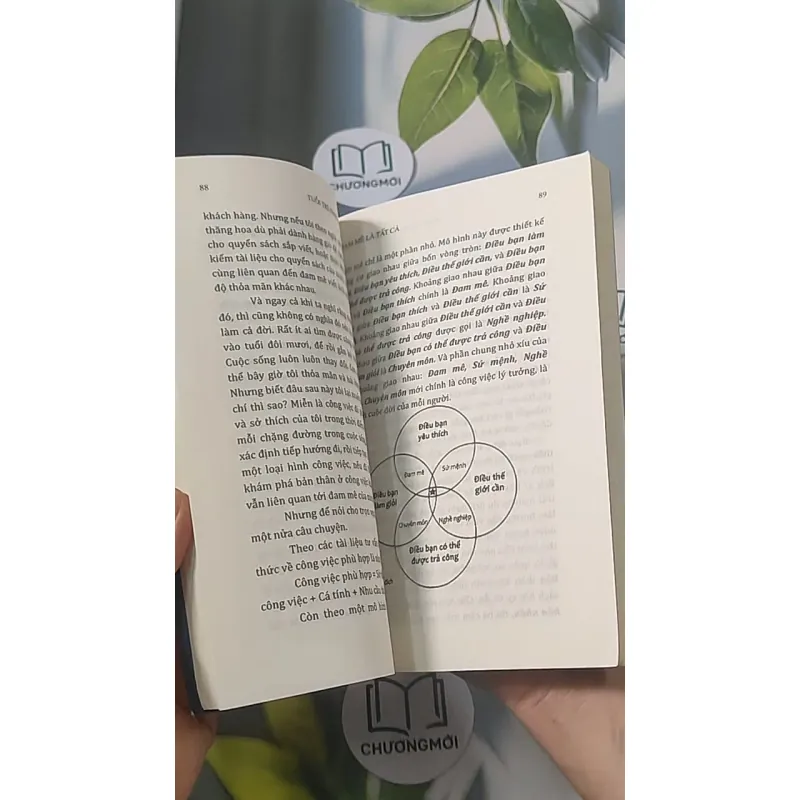 Tuổi trẻ đáng giá bao nhiêu - Rosie Nguyễn 688466