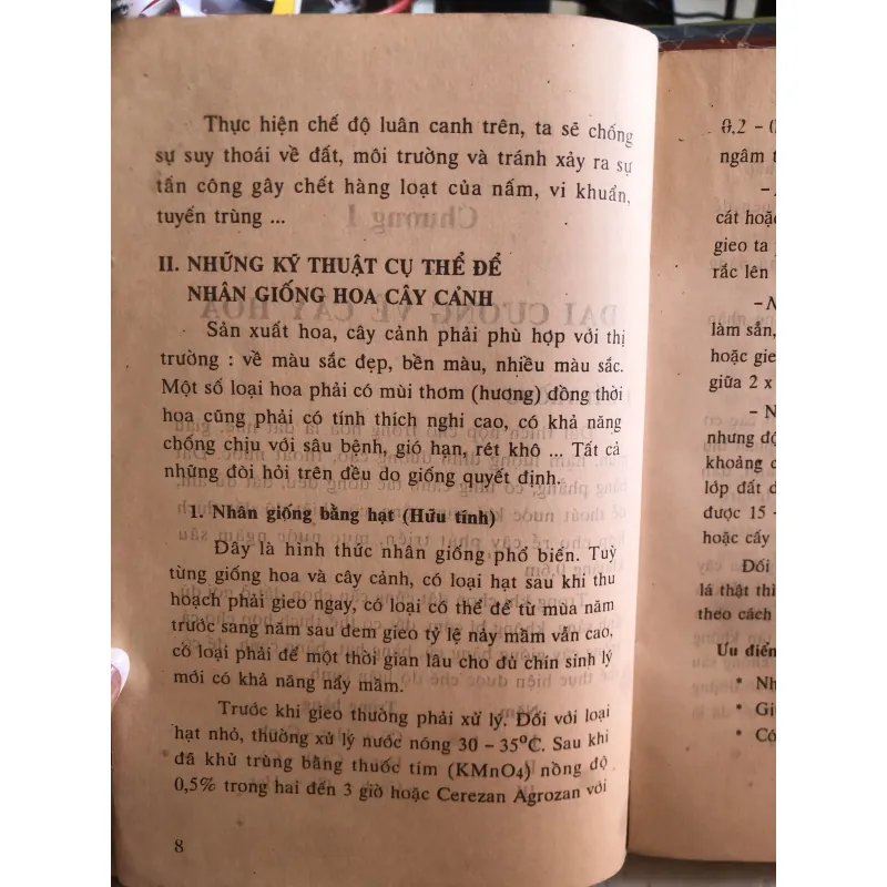 Trồng hoa cây cảnh trong gia đình - Nguyễn Huy Trí - Đoàn Văn Lư 1001807