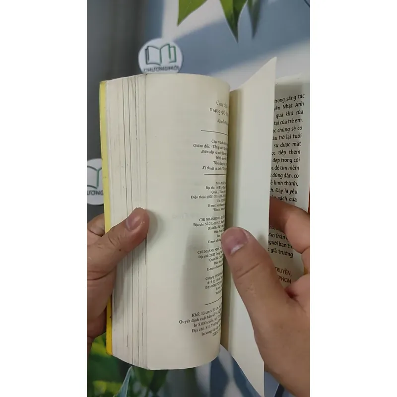 Con Chó Nhỏ Mang Giỏ Hoa Hồng - Nguyễn Nhật Ánh 798348