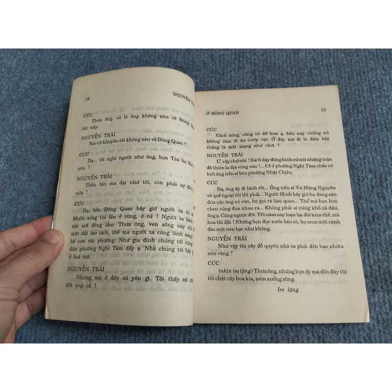 NGUYỄN TRÃI Ở ĐÔNG QUAN - NGUYỄN ĐÌNH THI 701912