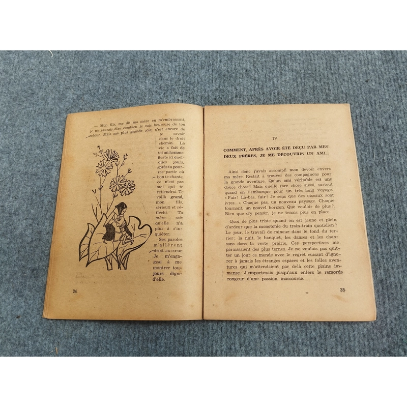LES AVENTURES DE GRILLON - TO HOAI 472261