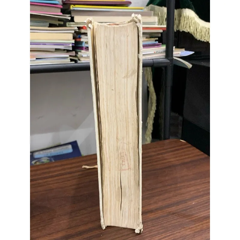 Văn học Việt Nam (Nửa cuối thế kỷ XVIII – hết thế kỷ XIX) – Nguyễn Lộc 592579