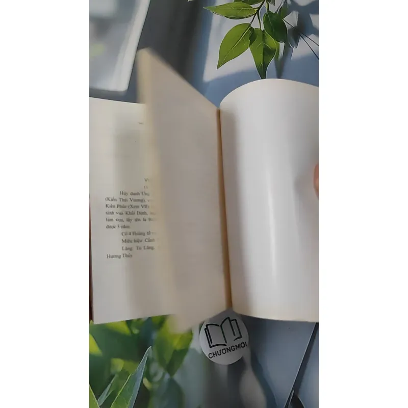 Chuyện Nội Cung Cựu Hoàng Bảo Đại - Nguyễn Đắc Xuân 970254